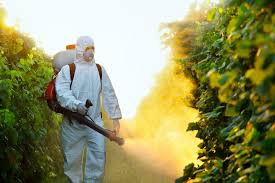 Best Pest Control in Ocean Reef